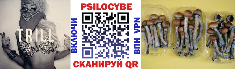 Псилоцибиновые грибы GOLDEN TEACHER  Борзя 