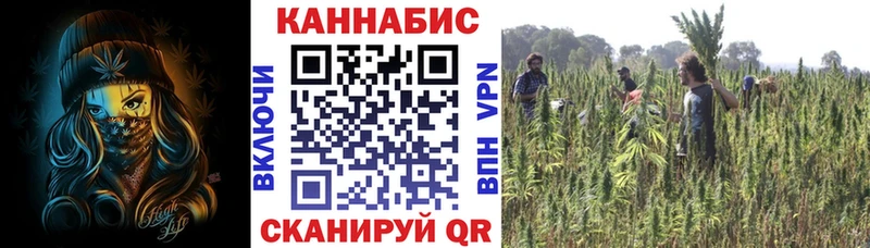 Марихуана Bruce Banner  Борзя 